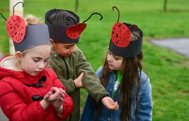 Wearing ladybug hats they made, preschool classmates Avery Ruf, Julian Negron and Evita Oguz watch ladybugs before the bugs take flight Wednesday, April 22, 2026, at Chesterbrook Academy in Bethlehem Township. Students released 2,000 beneficial ladybugs into their schoolyard to protect the environment and local vegetation for Earth Day at Chesterbrook Academy in Bethlehem. (Monica Cabrera/The Morning Call)