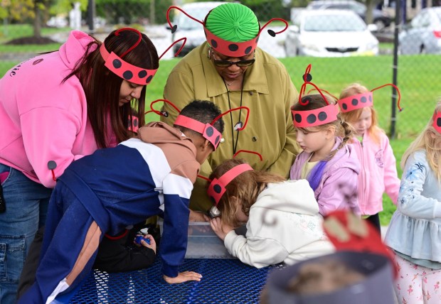 Students release 2,000 beneficial lady bugs into their schoolyard to protect the environment and local vegetation as part of an Earth Day celebration Wednesday, April 22, 2026, at Chesterbrook Academy in Bethlehem Township. (Monica Cabrera/The Morning Call)