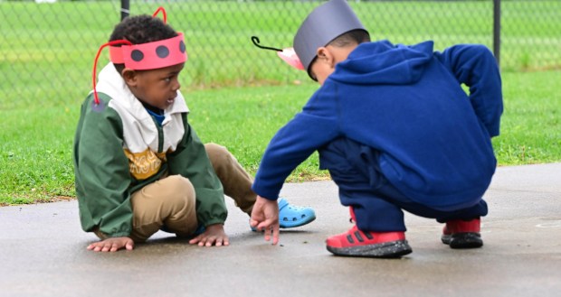 Students release 2,000 beneficial lady bugs into their schoolyard to protect the environment and local vegetation as part of an Earth Day celebration Wednesday, April 22, 2026, at Chesterbrook Academy in Bethlehem Township. (Monica Cabrera/The Morning Call)