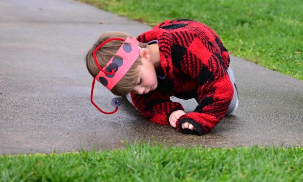 Students release 2,000 beneficial lady bugs into their schoolyard to protect the environment and local vegetation as part of an Earth Day celebration Wednesday, April 22, 2026, at Chesterbrook Academy in Bethlehem Township. (Monica Cabrera/The Morning Call)