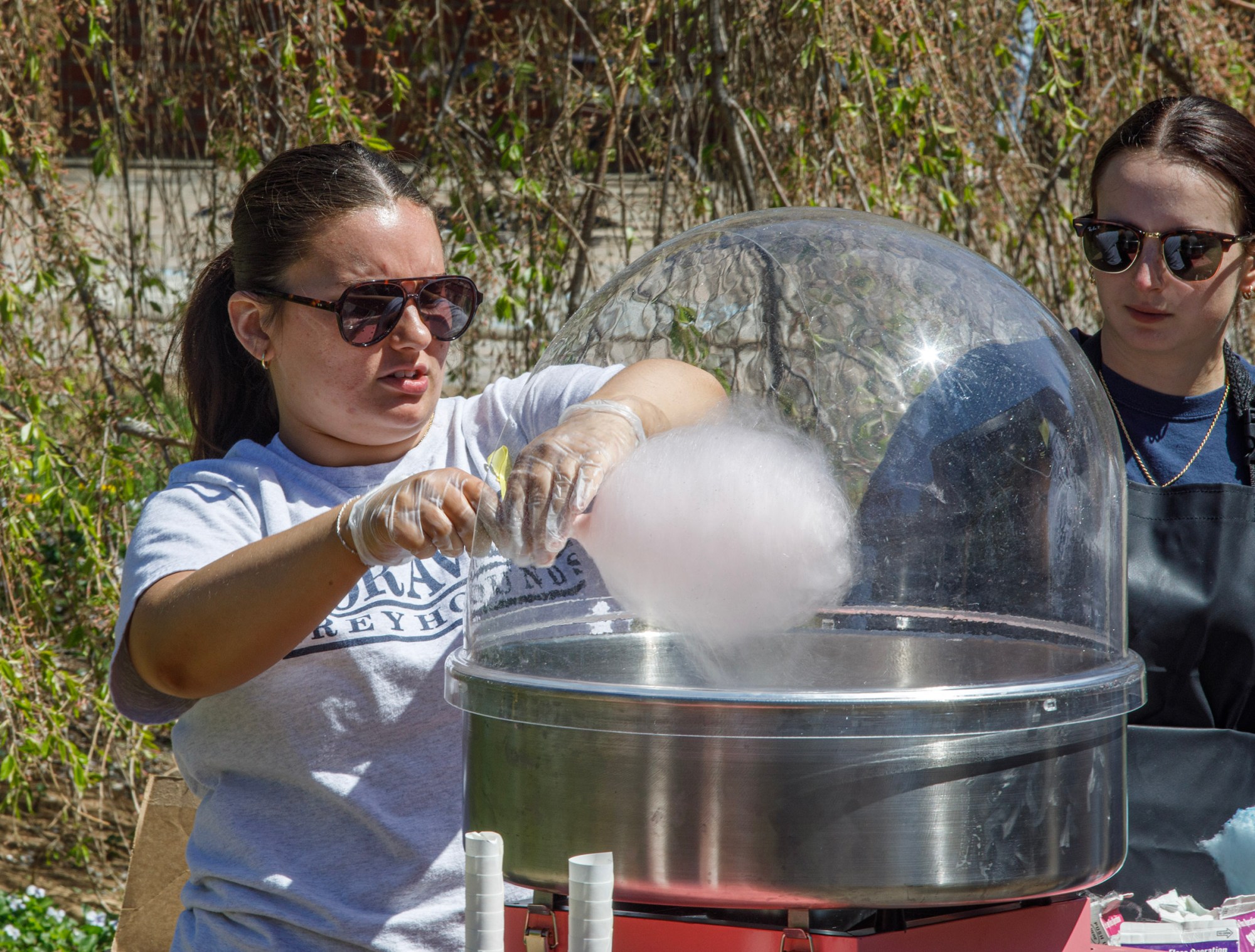 Kaylin Scanlon, a Moravian University sophomore from Harleysville, makes cotton candy as Rachel Green, a Moravian University junior from Nazareth, looks on during Pawapalooza on Saturday, April 11, 2026, at Moravian University's Priscilla Payne Hurd Academic Complex in Bethlehem. The event supports the Pawprint Project, a student-led organization raising money for the Pediatric Cancer Foundation of the Lehigh Valley. It features live music, games and other activities.(Jane Therese/Special to The Morning Call)