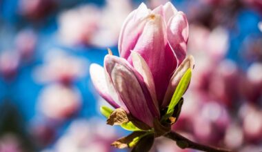 Allergies arrive with spring's wild ride