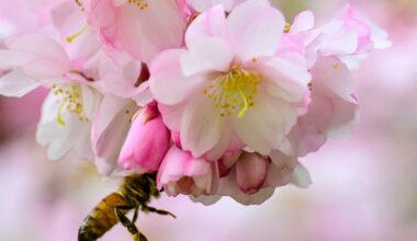 Cooldown expected after warmup this week