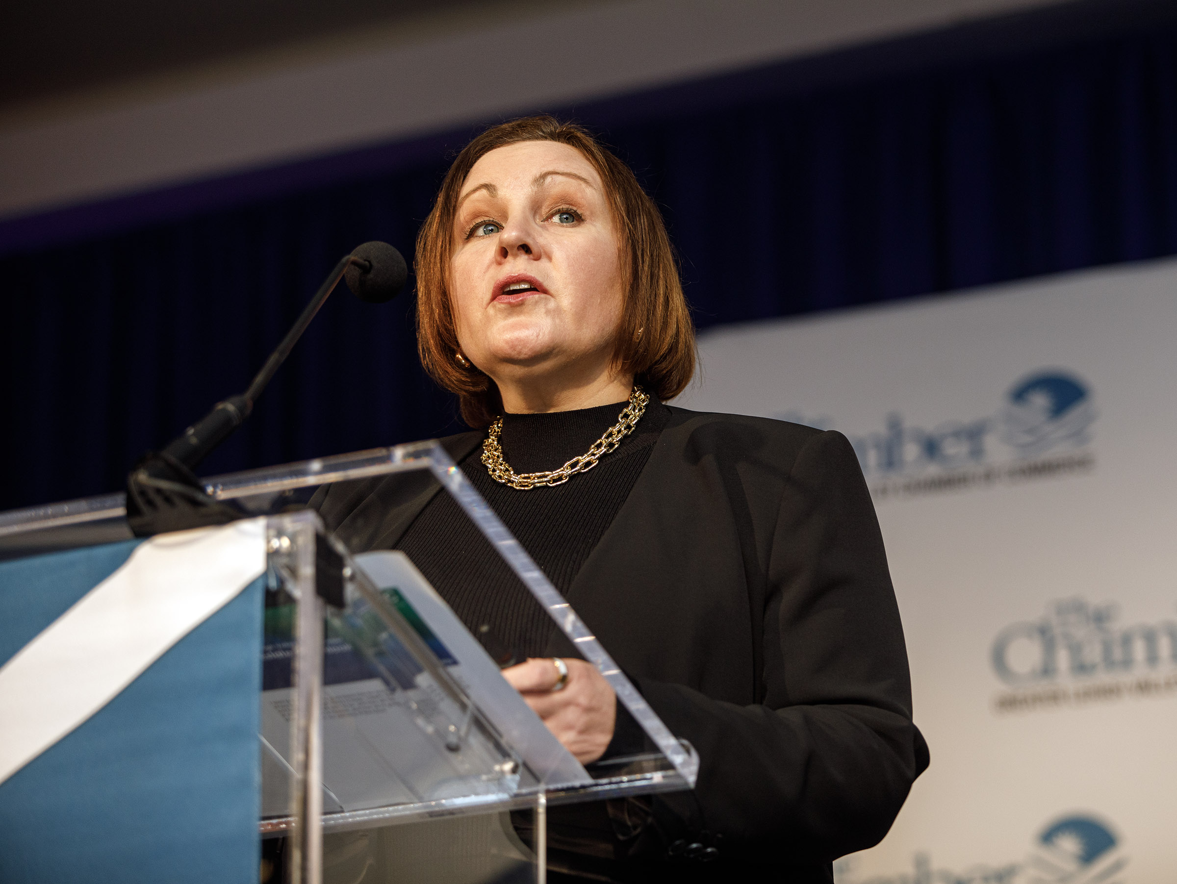 Becky Bradley, executive director, Lehigh Valley Planning Commission speaks during...