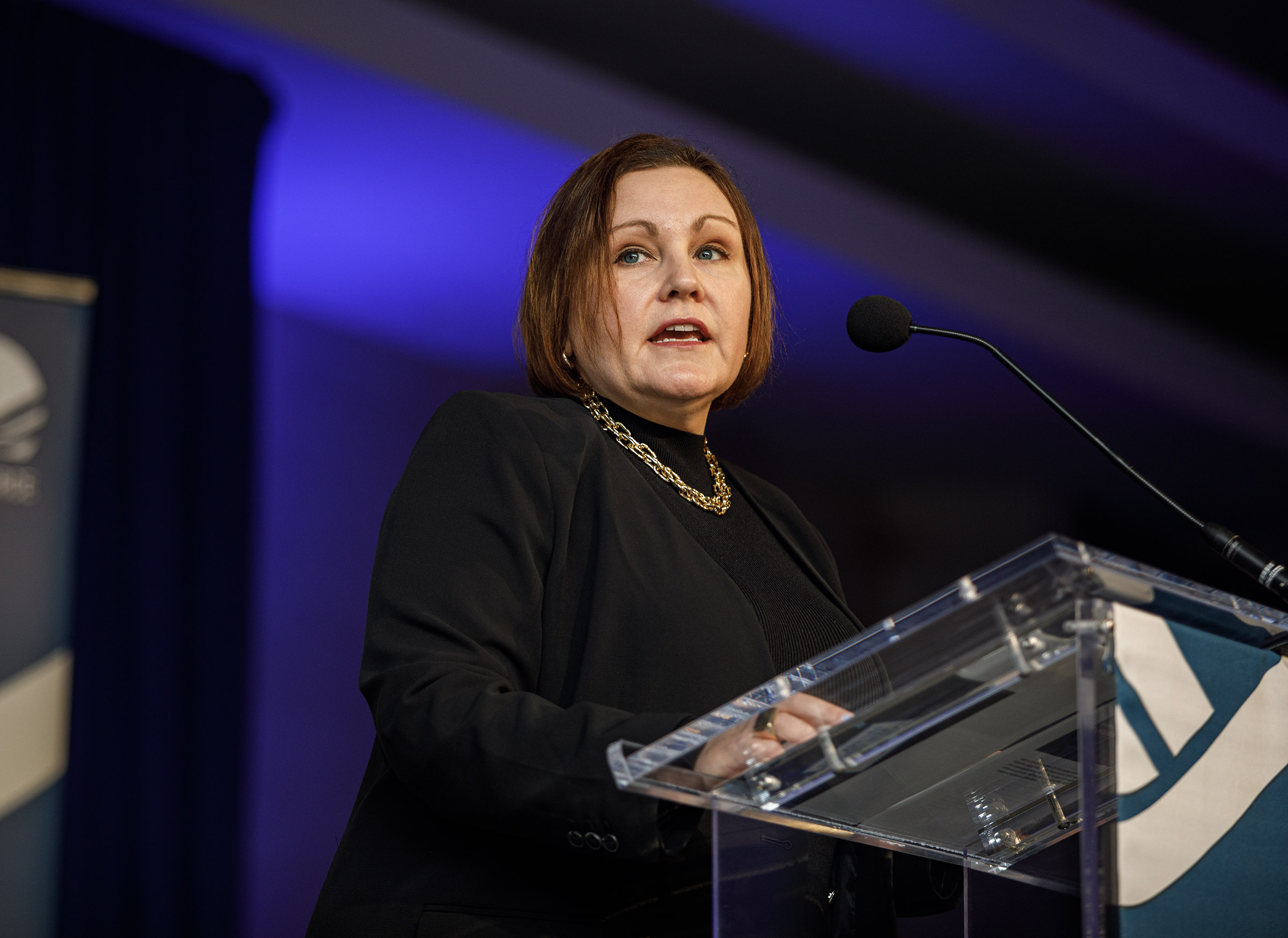 Becky Bradley, executive director, Lehigh Valley Planning Commission speaks during...