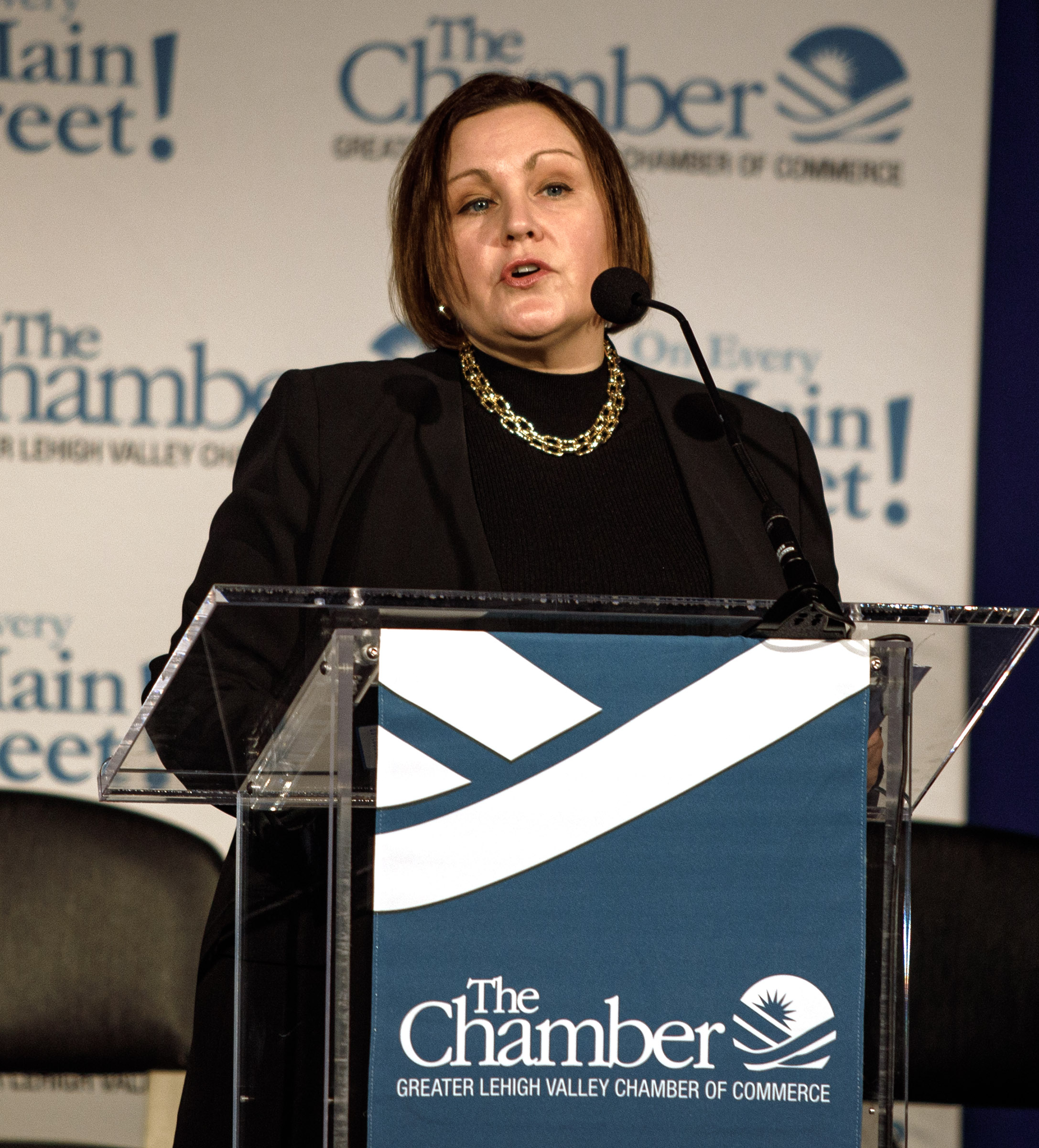 Becky Bradley, executive director, Lehigh Valley Planning Commission speaks during...