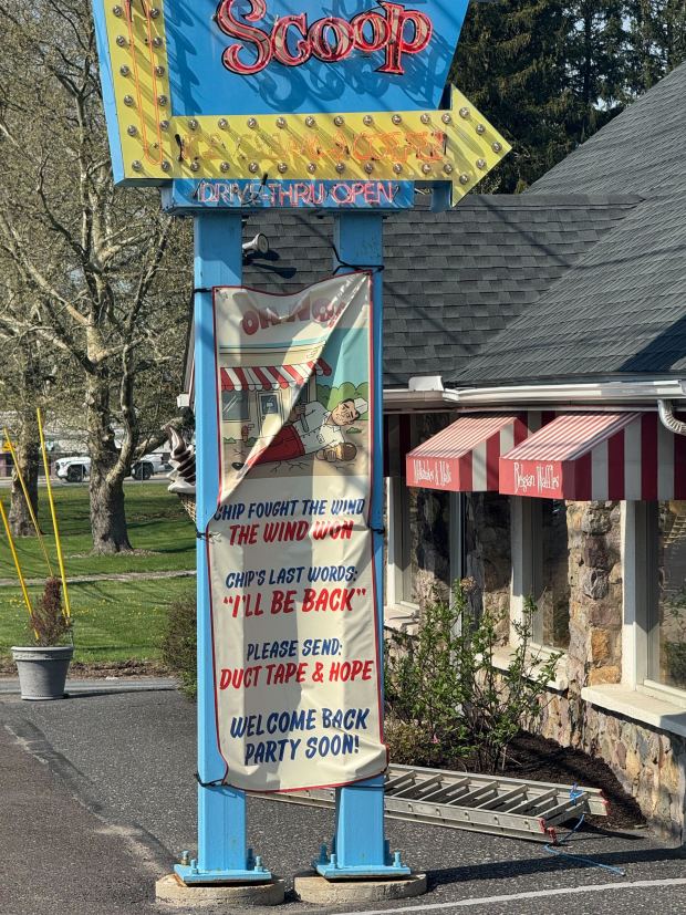 A sign outside Inside Scoop promises Giant Chip's return Thursday, April 16, 2026, in Coopersburg. The top half of the popular, 25-foot-high statue was toppled by high winds in February. Roadside artist Mark Cline, who built the statue, was on site Thursday to repair it. (Graysen Golter / The Morning Call)