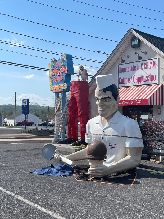 Roadside artist Mark Cline prepares the bottom half of the Giant Chip statue Thursday, April 16, 2026, at Inside Scoop in Coopersburg. The popular, 25-foot-high statue was toppled by high winds in February. Cline, who built the statue, was on site Thursday to repair it. (Monica Cabrera / The Morning Call)