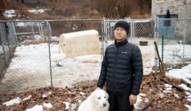 Burst sewer pipe in Berks County leaves farmer with big bill