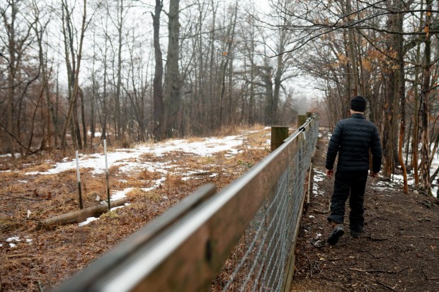Fangyuan Geís walks past the site of a sewer main break that dumped about 8,000 gallons of raw sewage on the area in spring 2025 at his farm in Washington Township, Berks County. (Margo Reed/for Spotlight PA)
