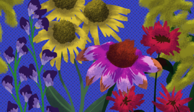 'A little oasis in Oakland': Pitt's spring landscaping features native plants and sustainable alternatives 