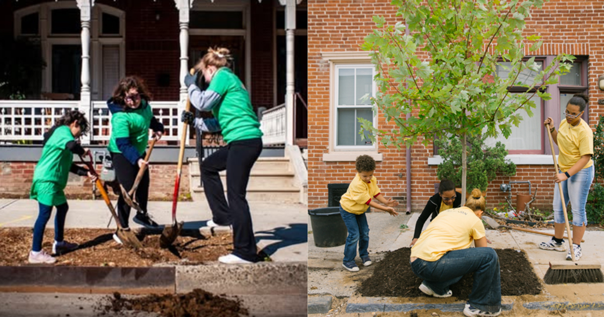 Senator Nick Miller Announces Funding to Expand Old Allentown Tree Initiative; Community Encouraged to Attend Planting Day