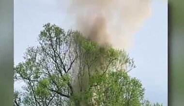 Tree catches fire after lightning strike in Western Pennsylvania cemetery