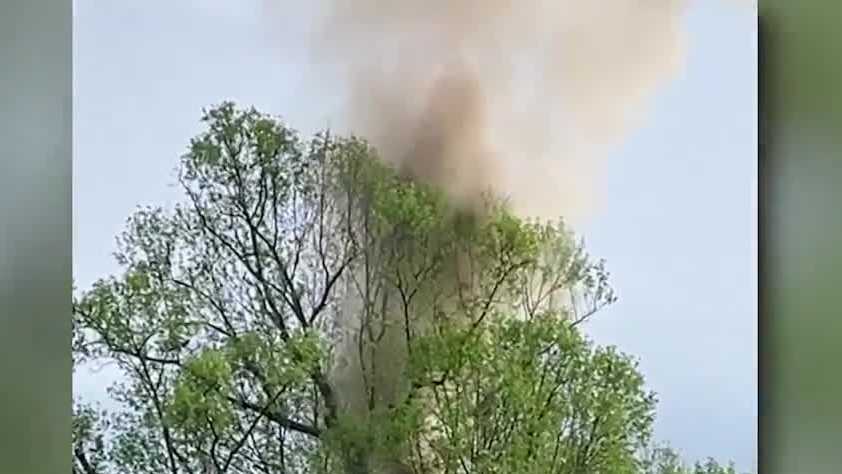 Tree catches fire after lightning strike in Western Pennsylvania cemetery
