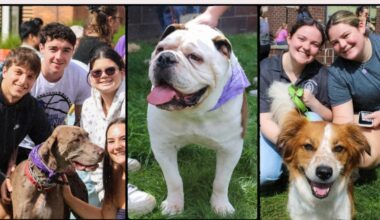 Register Your Dog for Pet Therapy by April 24