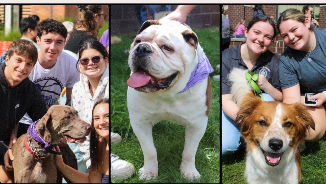 Register Your Dog for Pet Therapy by April 24