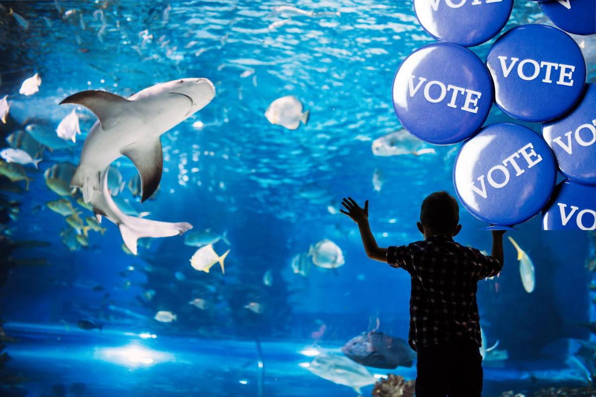 N.J. aquarium earns major national nod — here’s how to vote
