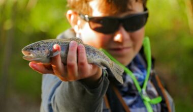 7 Best Places to Catch Trout in Erie County Right Now