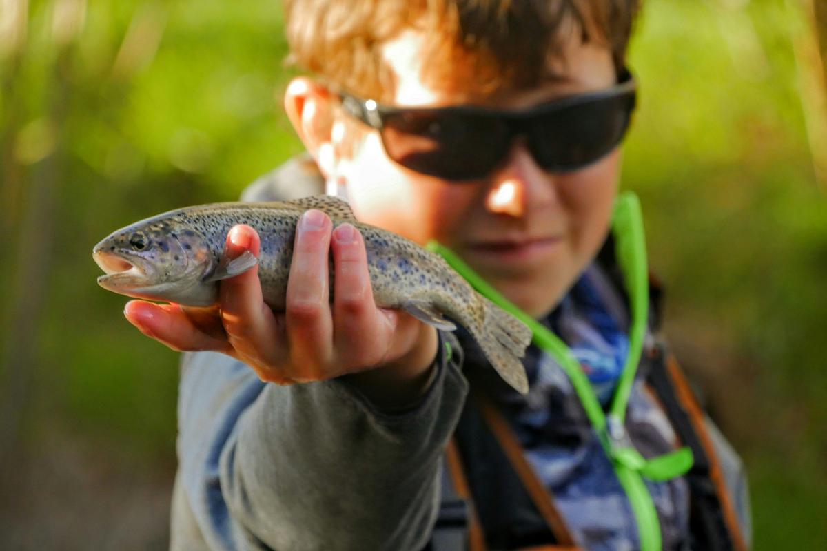 7 Best Places to Catch Trout in Erie County Right Now