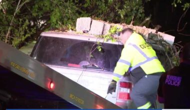 3 hospitalized after car crashes into woods in Allegheny County