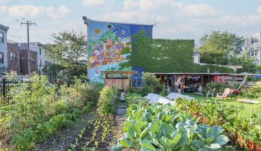 40 Urban Gardening Ideas for Your Philly Back Yard