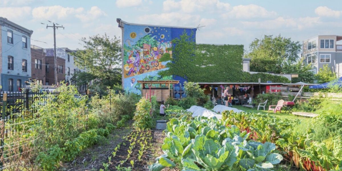 40 Urban Gardening Ideas for Your Philly Back Yard