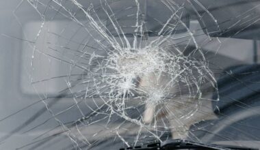 Pittsburgher wants better protection after car break-ins