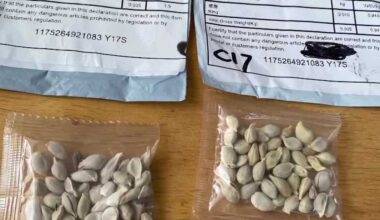 Brushing Scheme | Pennsylvania residents report receiving unsolicited seed packages