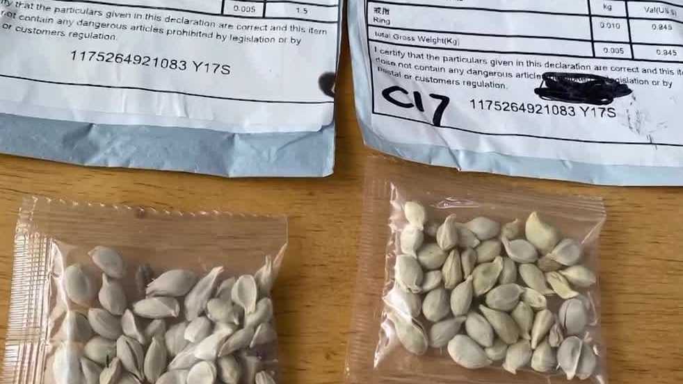 Brushing Scheme | Pennsylvania residents report receiving unsolicited seed packages