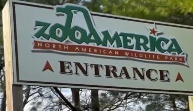 Parents charged after toddler injured by wolf at Pennsylvania zoo