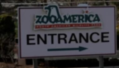 Parents charged after wolf injures toddler at Pennsylvania zoo