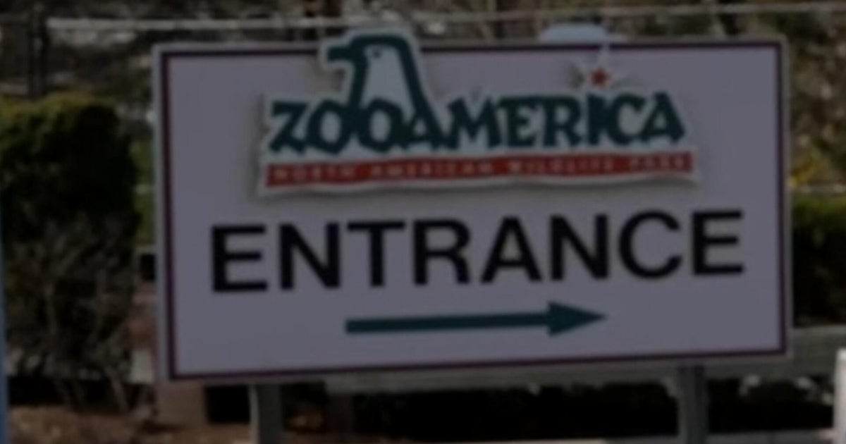 Parents charged after wolf injures toddler at Pennsylvania zoo