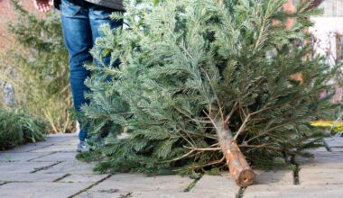 The,legs,of,a,man,pulling,the,old,christmas,tree