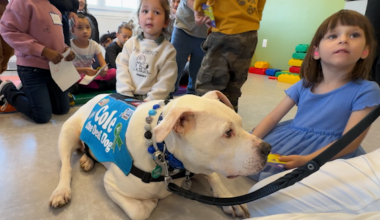 Viral therapy dog shares message of acceptance to students in Philadelphia