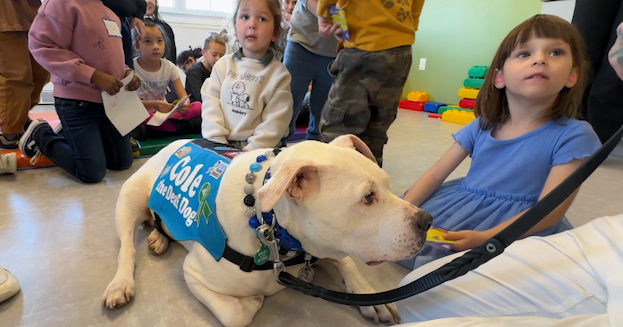 Viral therapy dog shares message of acceptance to students in Philadelphia