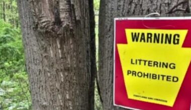 Perry County | Trash dumped on state game lands
