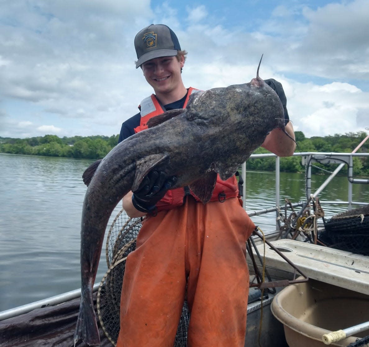 Fisheries Biologist Aide Rhett Pletcher holds a large flathead catfish from the Three Rivers in Pittsburgh.