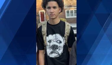 Mt. Lebanon police seek help in locating missing 15-year-old boy