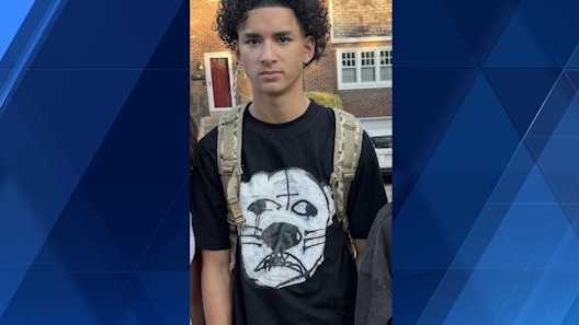 Mt. Lebanon police seek help in locating missing 15-year-old boy