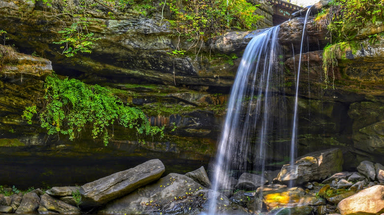 Waterfall over a rock ledge, beside a rock wall with green leaves growing out of it and a small portion of a railroad bridge in the top of the frame