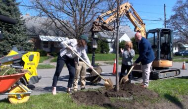 City of Erie announces sustainability initiatives ahead of Arbor Day
