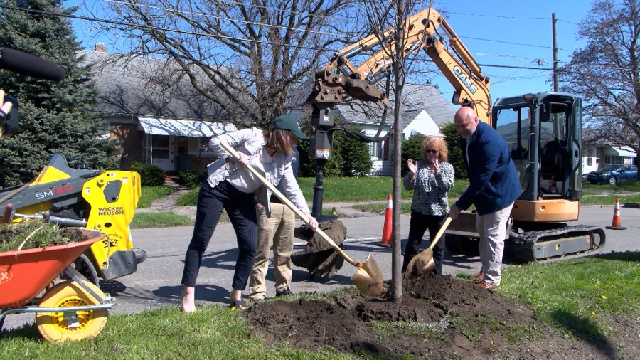 City of Erie announces sustainability initiatives ahead of Arbor Day
