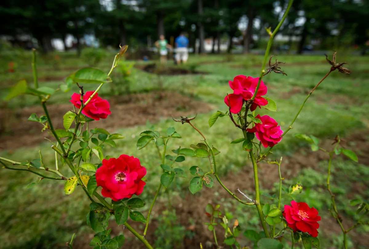 Yahoo lifestyle home