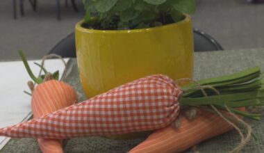 UPMC program connects Pittsburgh-area farms, nonprofits to fight hunger and food waste