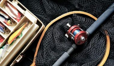 Lake Erie Fishing Limits Hold Steady Despite Shifting Fish Stocks