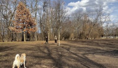 How to keep your family and pets tick safe in Pittsburgh this spring
