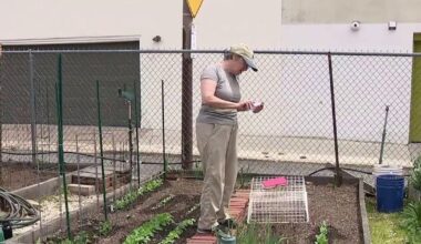 Philly workers adapt to record-breaking heat on Thursday