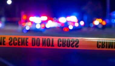 Dog shot, killed after biting Pittsburgh police detective during pursuit