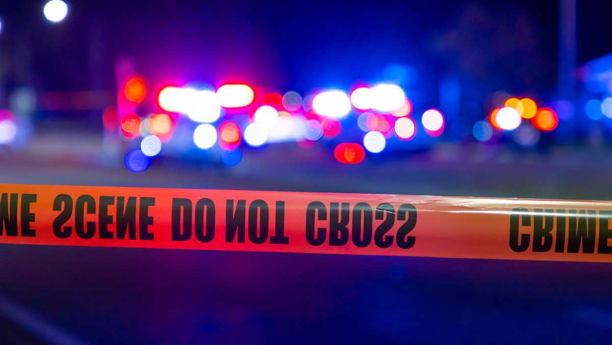 Dog shot, killed after biting Pittsburgh police detective during pursuit