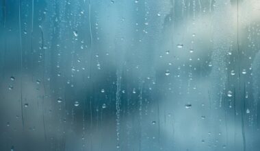 Beautiful day with a few showers possible starting Friday afternoon – WPXI